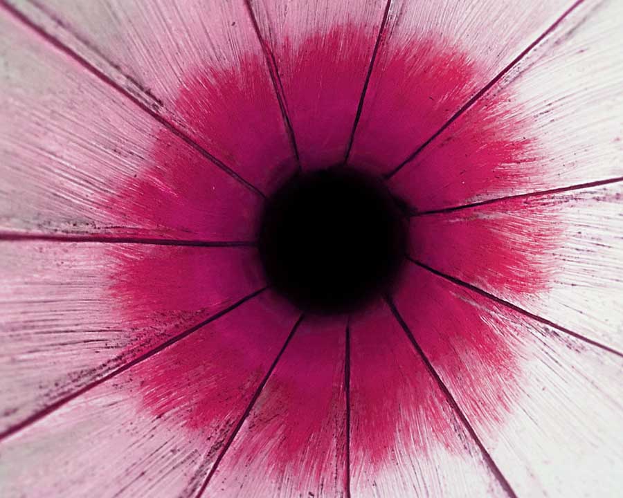 Ein einzelnes Detail im Licht